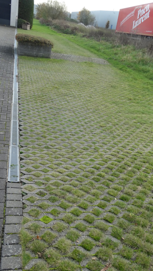 grasdallen-referenties-3